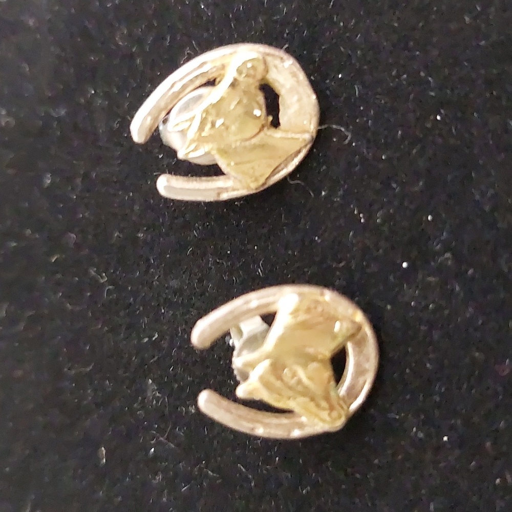 Sterling Horseshoe and 18k Gold Horsehead Western stud earrings.